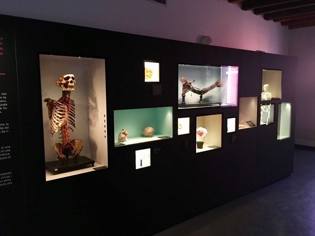 Sala C (4).jpg